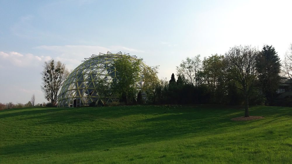Auf der Grünfläche ist Platz für ein gemütliches Picknick. Auf der Grünfläche ist Platz für ein gemütliches Picknick.