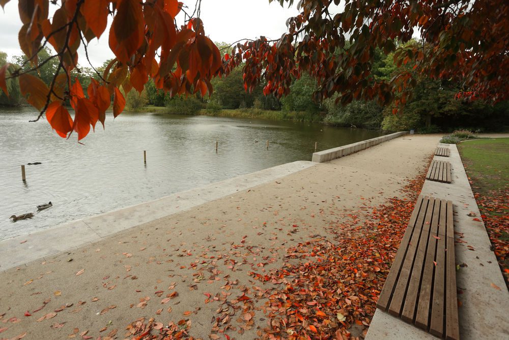 Die Freitreppe am Zooteich wurde als zentraler Anlaufpunkt im Park aufgewertet. (Foto:Landeshauptstadt Düsseldorf/David Young)