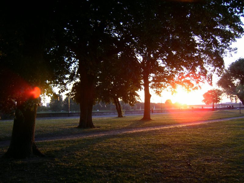 Abends kann man die Sonne über Düsseldorf untergehen sehen.
