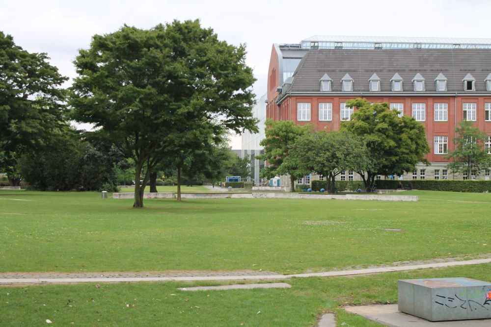 Die Wiese liegt in der Mitte des Parks.