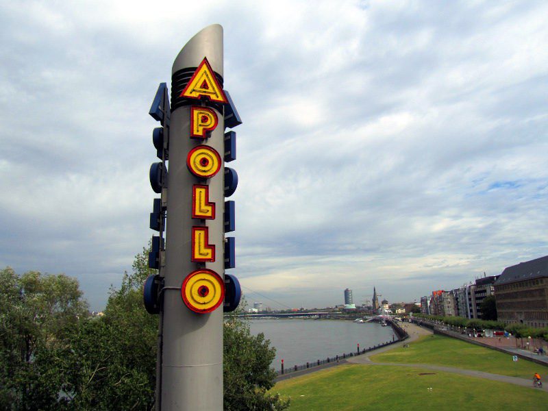 Die Wiese liegt direkt am Rhein.