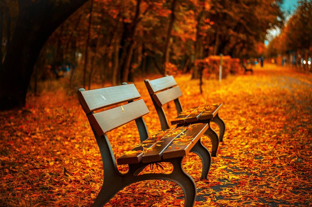 youEvents für die Herbstferien Eure Herbstferien müssen nicht Öde werden! Schaut was in den Herbstferien für Jugendliche in Düssldorf Angeboten wird! (Foto: Pixabay)