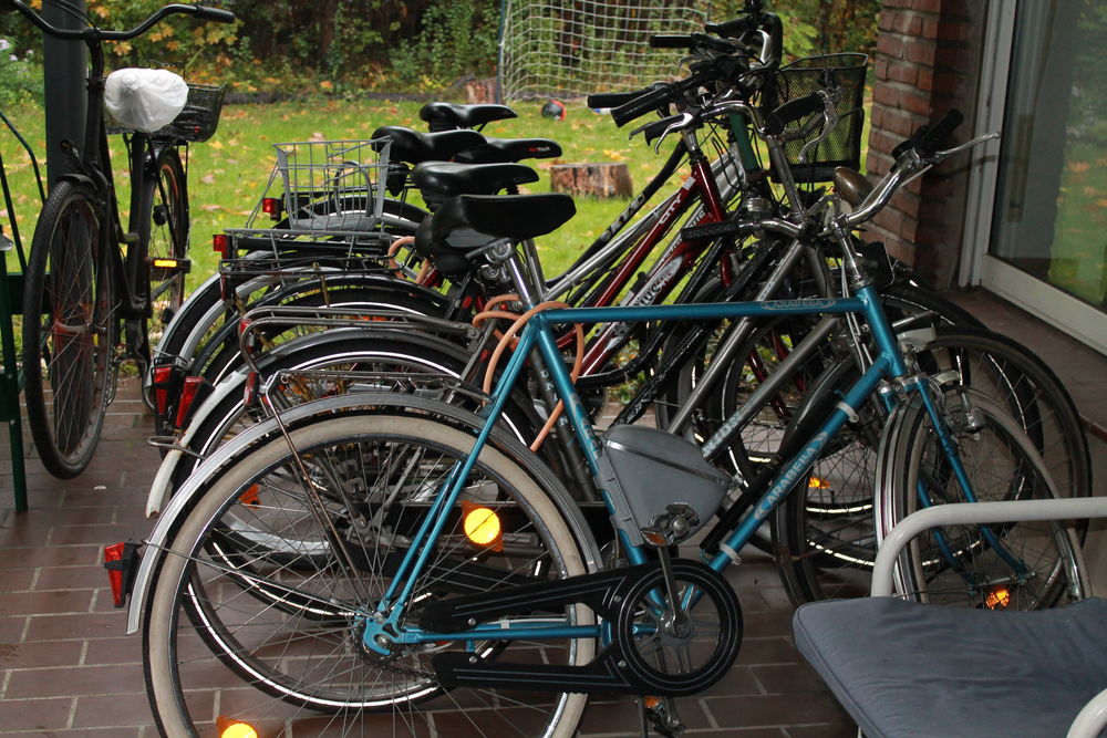 Die Jungs wollen natürlich auch unterwegs sein und viel von ihrer neuen Heimat sehen und erleben. Dafür haben sie Fahrräder. Foto: Jonathan Die Jungs wollen natürlich auch unterwegs sein und viel von ihrer neuen Heimat sehen und erleben. Dafür haben sie Fahrräder. Foto: Jonathan