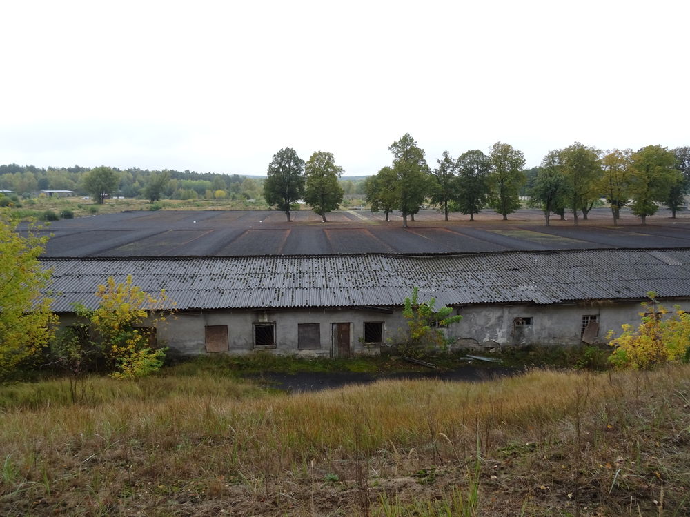 Jonas Einck Jonas Einck