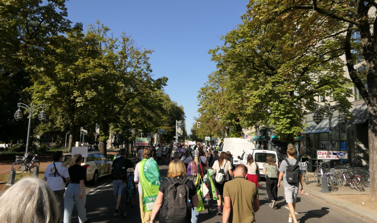 Der Demozug lief auch über die Kö. (Foto: youpod) Der Demozug lief auch über die Kö. (Foto: youpod)