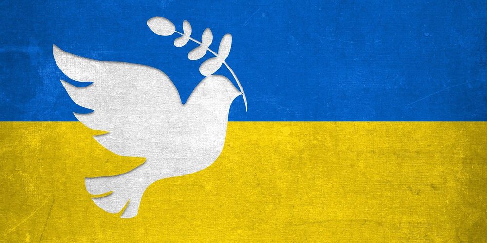 Die Friedenstaube auf der ukrainischen Flagge.