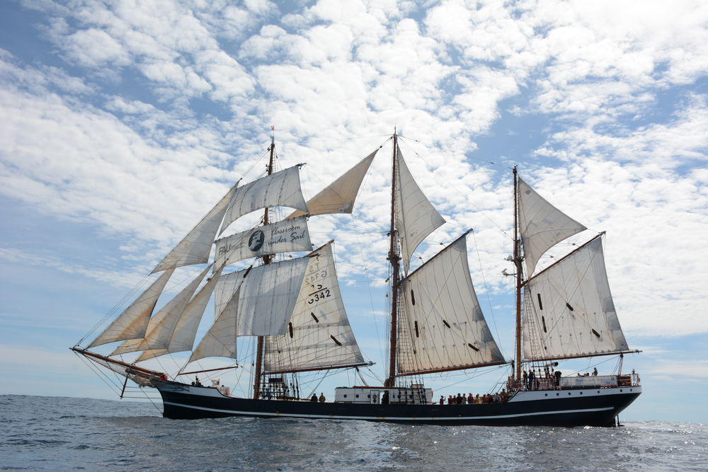 Klassenzimmer unter Segeln Das Schiff "Thor Heyerdahl" unter Segeln. Foto: KUS