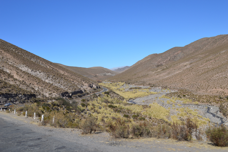 Lara in Argentinien: Kino zum Lernen Lara in Argentinien: Kino zum Lernen