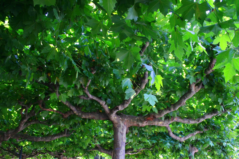 Infos zu Berufen im Klimaschutz Infos zu Berufen im Klimaschutz