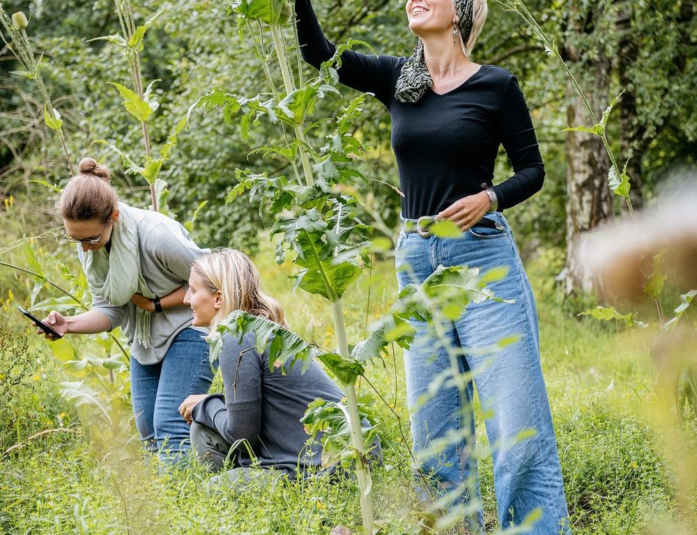 Bioblitz 2022 - deutschlandweiter Wettbewerb zur Artenvielfalt Dir ist Naturschutz und Artenvielfalt wichtig? Dann mach mit beim diesjährigen #Bioblitz2022 ! (Foto: LWL Naturkundemuseum Münster)