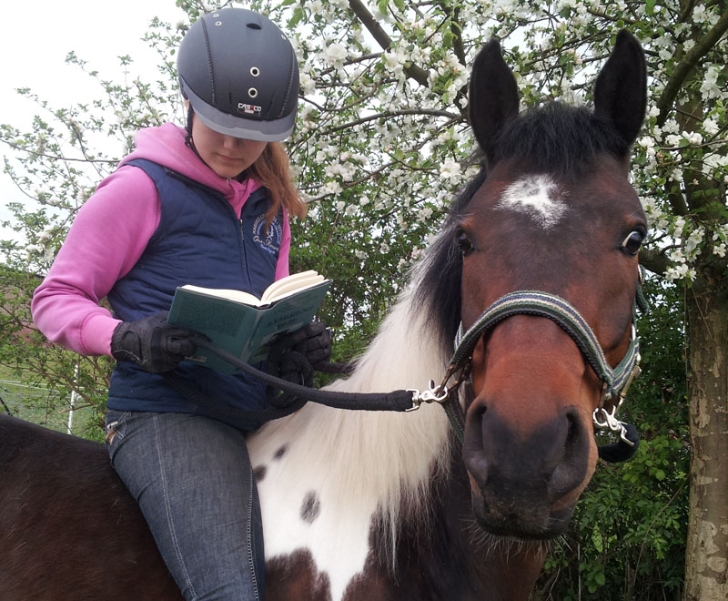 Sommer, Sonne, Buch am Stiel – teilt euren Lesespaß! Die Sommerlektüre mal anders! Was und wo Kinder und Jugendliche lesen, sagen sie beim Wettbewerb "Sommer, Sonne, Buch am Stiel". Stadtbüchereien Düsseldorf