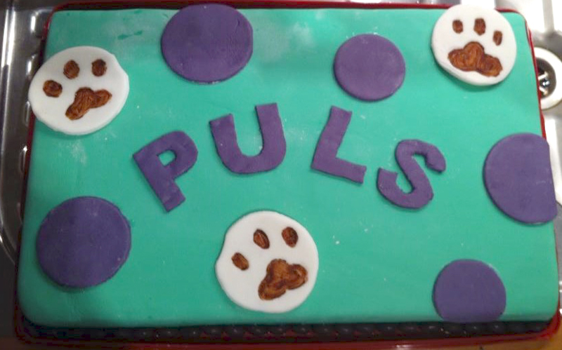 Jugendliche haben einen tollen Geburtstagskuchen fürs PULS gebacken. PULS