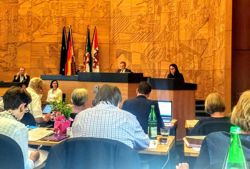 Klimanotstand in Düsseldorf: Ciwana vom Jugendrat hielt Rede im Rat Ciwana vom Jugendrat hält ihre Rede zum Klimanotstand.