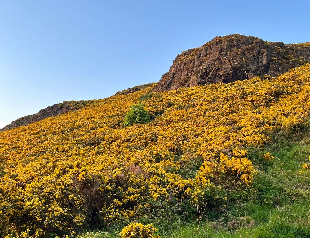 Park Edinburgh Park Edinburgh