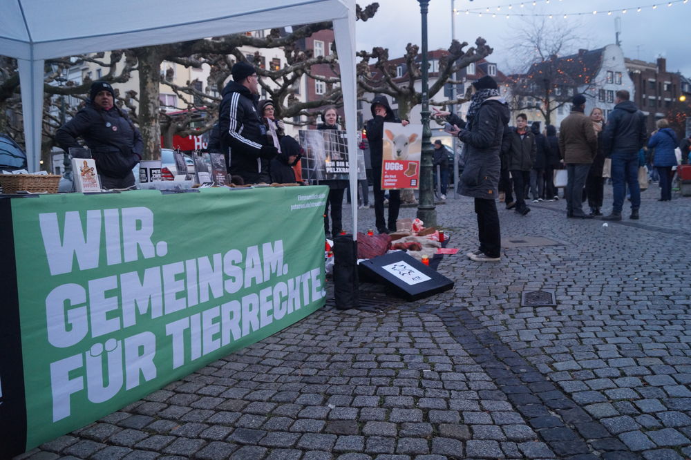 Der Stand von links Foto: Marc Börgmann Der Stand von links Foto: Marc Börgmann
