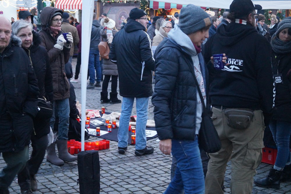 Der Stand von hinten Foto: Marc Börgmann Der Stand von hinten Foto: Marc Börgmann