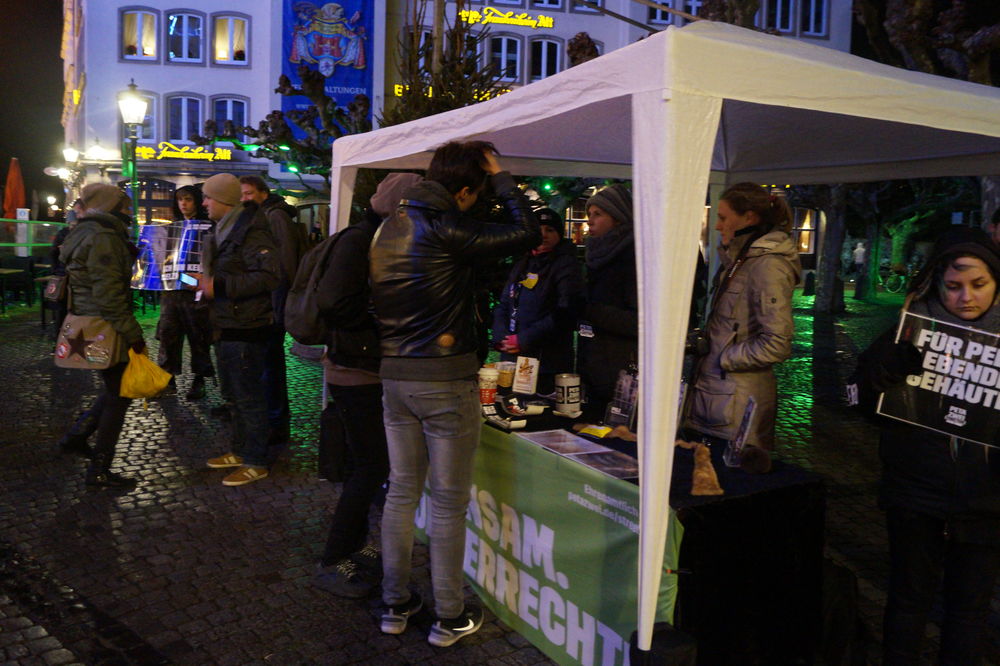 Die Demonstrierenden informieren Passanten Foto: Marc Börgmann Die Demonstrierenden informieren Passanten Foto: Marc Börgmann