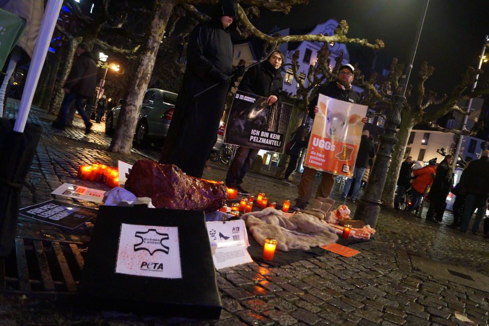 Der Stand von vorne Foto: Marc Börgmann Der Stand von vorne Foto: Marc Börgmann