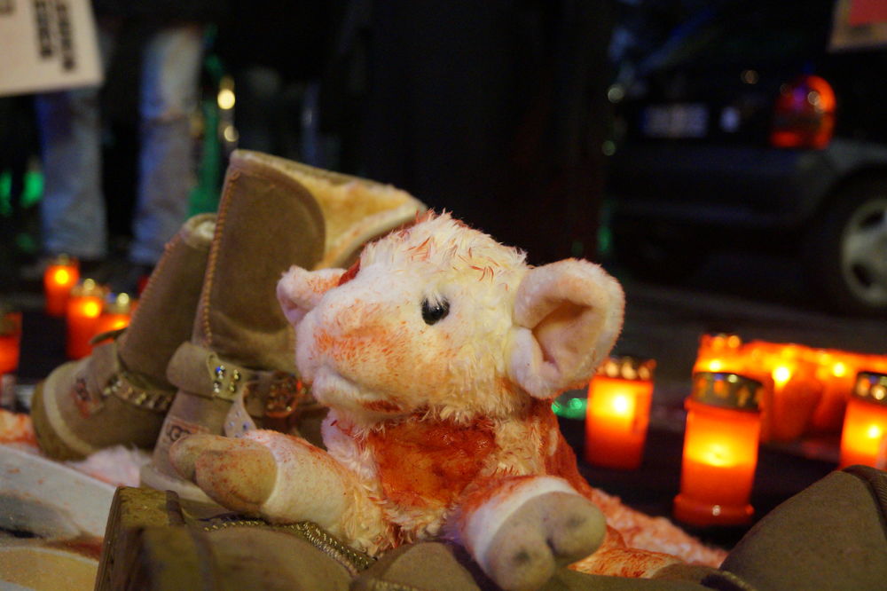 Ein Stofftier als Visualisierung Foto: Marc Börgmann Ein Stofftier als Visualisierung Foto: Marc Börgmann