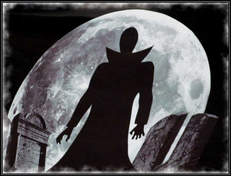 Vampire spielen eine besondere Rolle in der Filmgeschichte. Das Filmmuseum widmet ihnen nun eine Ausstellung. Bredehorn Jens/pixelio.de