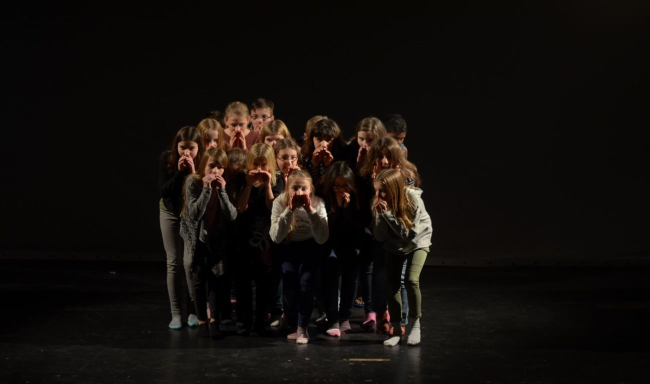 FFT-Schultheatertage 2016 - Rückblick einer Schülerin der Goethe-Theatergruppe Häppy Häns_wie es euch gefällt Lara A.