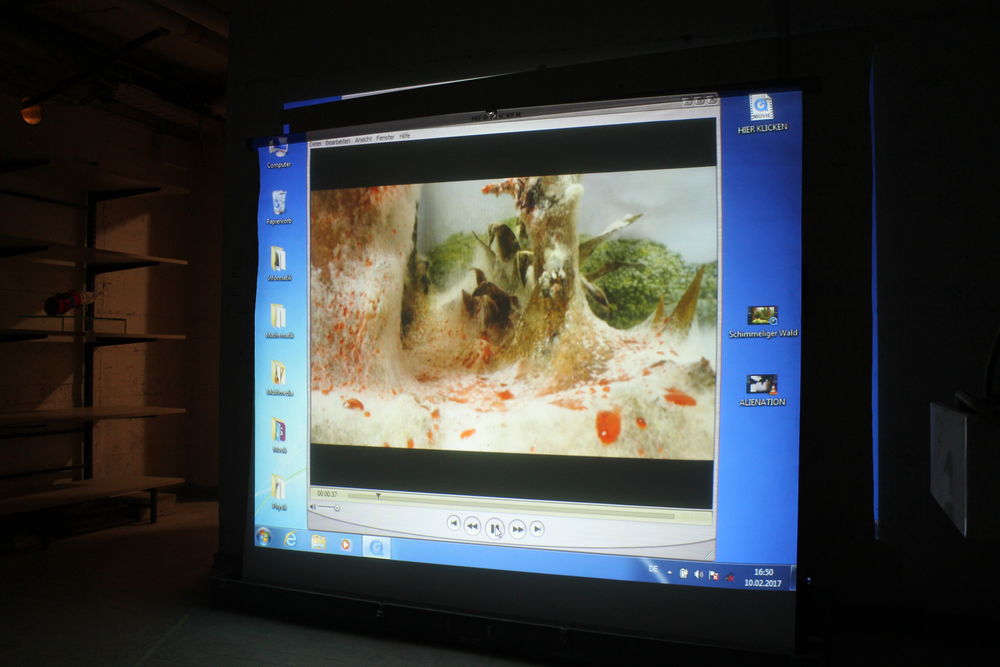 Ein Filmprojekt: Schimmel als Mittel der Kunst. (Foto: Christina Behrens) Ein Filmprojekt: Schimmel als Mittel der Kunst. (Foto: Christina Behrens)