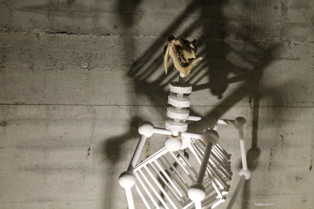 Titel: Das Reh. Von Mara Fehn. (Foto: Christina Behrens) Titel: Das Reh. Von Mara Fehn. (Foto: Christina Behrens)