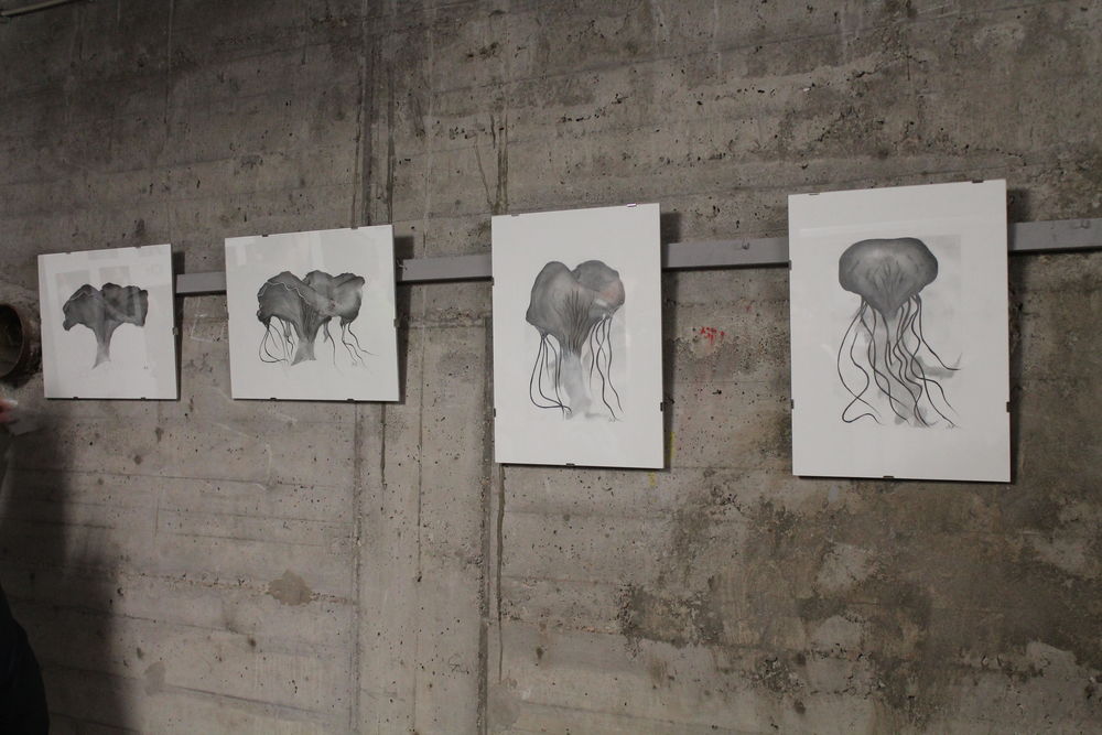 Die Metamorphose von Pilz zu Qualle - zu sehen als Bleistiftzeichnung von Gisa Graefe. (Foto: Christina Behrens) Die Metamorphose von Pilz zu Qualle - zu sehen als Bleistiftzeichnung von Gisa Graefe. (Foto: Christina Behrens)