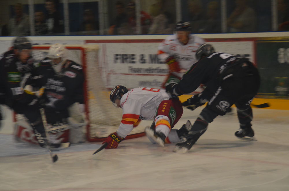 Sherlock Holmes auf Spuren der DEG beim Köln Cup 2016 Lara A.