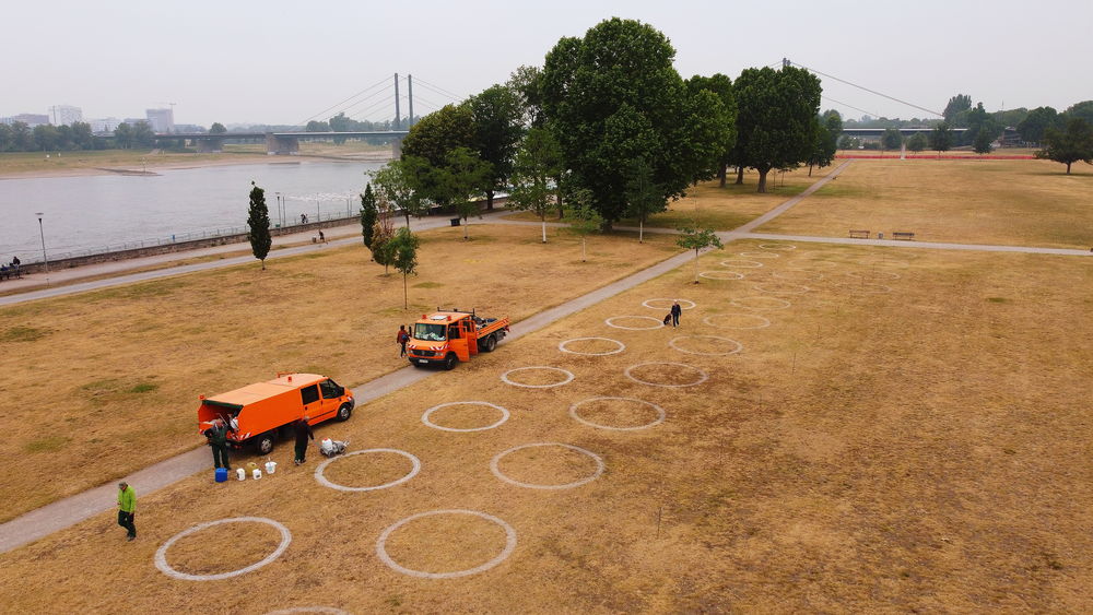 Die Kreise haben einen Durchmesser von 3 Metern und sind jeweils 3 Meter voneinander entfernt. (Foto: Landeshauptstadt Düsseldorf/David Young)