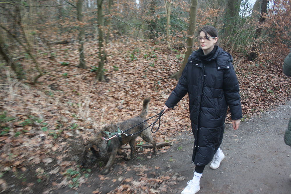 Lisa (28) ist seit zwei Wochen neben ihrem Studium in Team Gassi aktiv. (Foto: Youpod/Vivian) Lisa (28) ist seit zwei Wochen neben ihrem Studium in Team Gassi aktiv. (Foto: Youpod/Vivian)