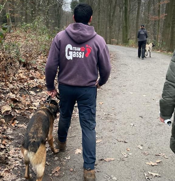 Dank dem Team Gassi können die Tierheim-Hunde regelmäßig Runden im Wald drehen. (Foto: Youpod/Athina) Dank dem Team Gassi können die Tierheim-Hunde regelmäßig Runden im Wald drehen. (Foto: Youpod/Athina)