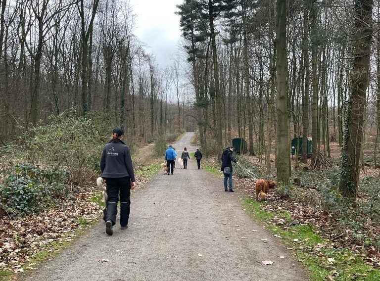 Auch die Menschen unter sich sind ein gutes Team geworden und es haben sich schon viele Freundschaften durch das Ehrenamt gebildet. (Foto: Youpod/Athina) Auch die Menschen unter sich sind ein gutes Team geworden und es haben sich schon viele Freundschaften durch das Ehrenamt gebildet. (Foto: Youpod/Athina)