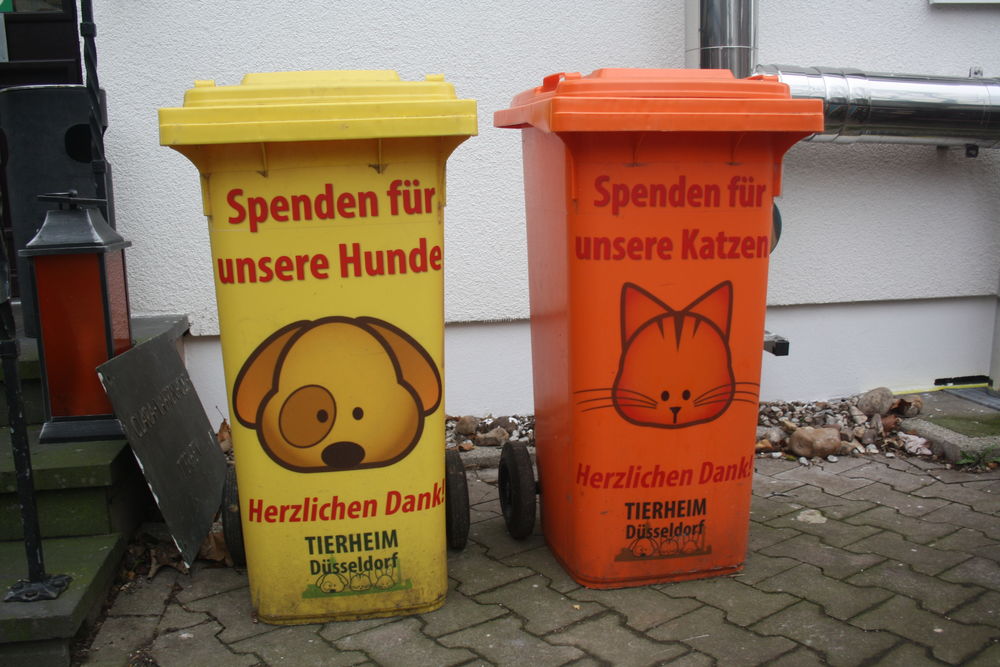 Im Tierheim können auch Spenden für die Tiere abgegeben werden. (Foto: Youpod/Karo) Im Tierheim können auch Spenden für die Tiere abgegeben werden. (Foto: Youpod/Karo)