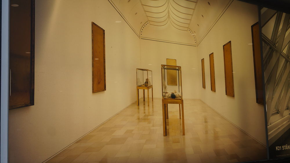 (Foto: Lana Altabbakh)