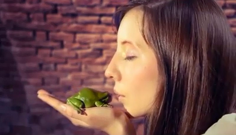 Flagge zeigen! Vol. 4 Sei kein Frosch - zeig Zivilcourage! Screenshot, Flagge zeigen Vol. 4