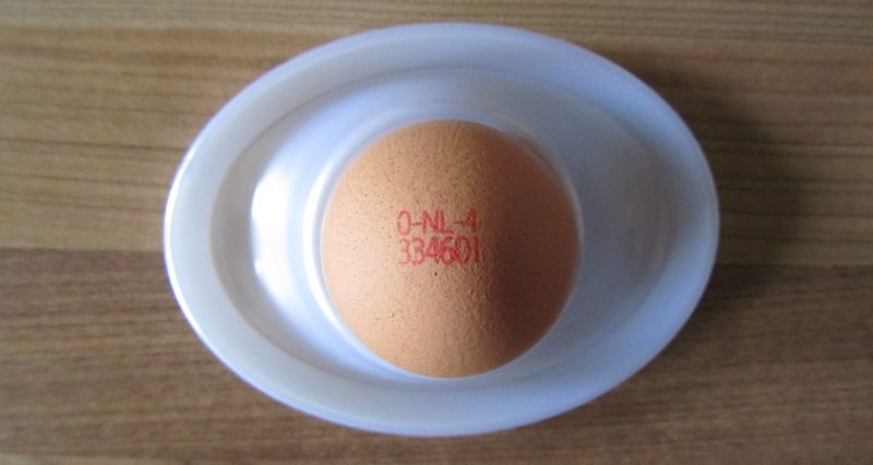 Augen auf beim Eier-Kauf Augen auf beim Eier-Kauf