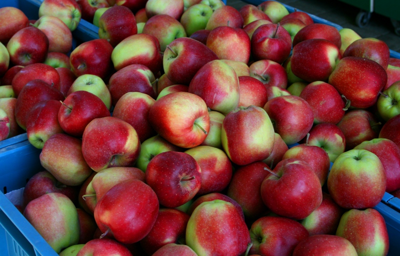 Obstsalate aus dem Supermarkt Frisches Obst ist gesund, Obstsalate aus dem Supermarkt nicht immer. (Foto: youpod)