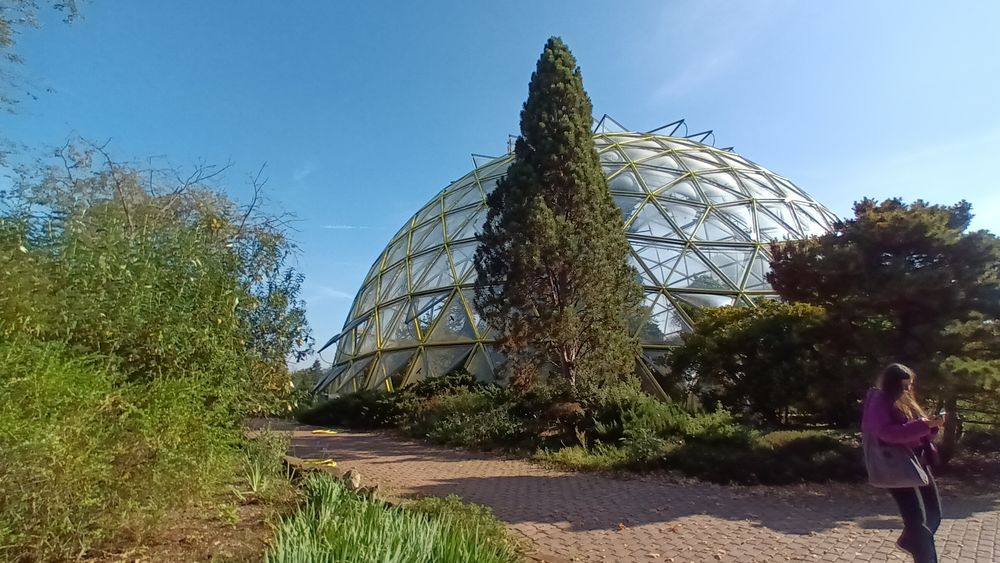 Der botanische Garten Der botanische Garten