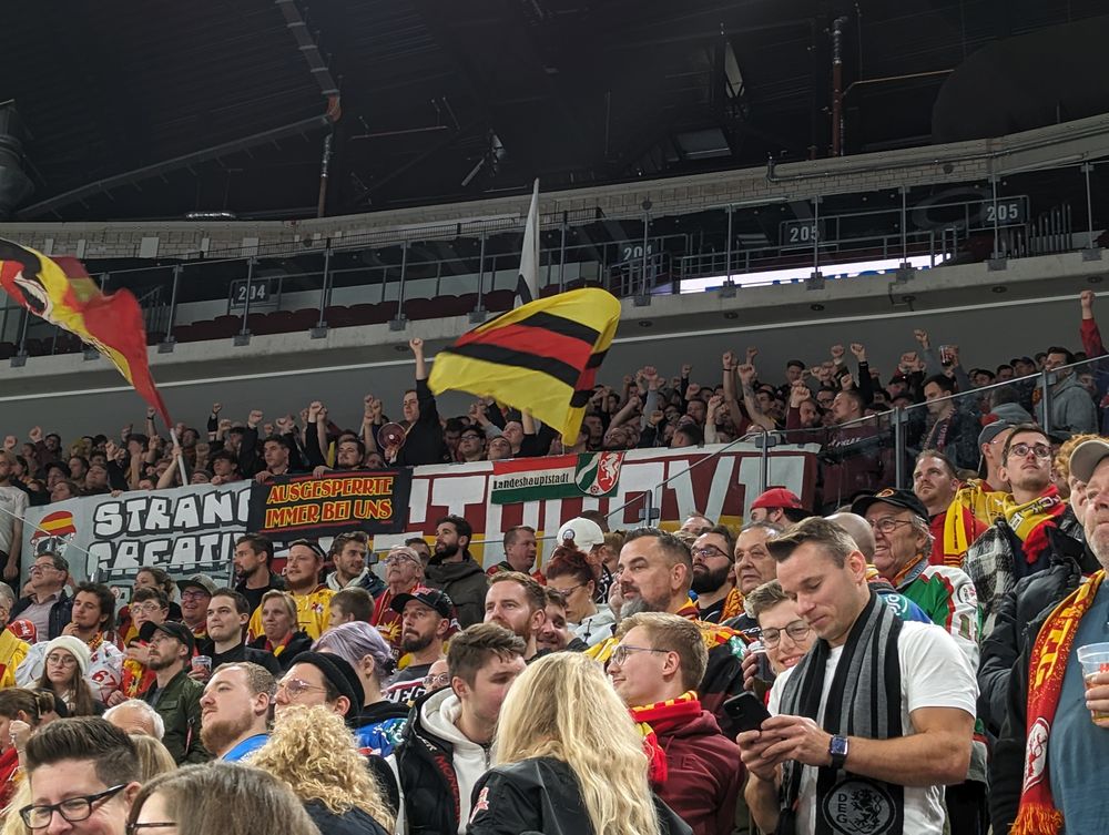 Die Fans supporten die DEG unerbittlich II Foto: Jonas