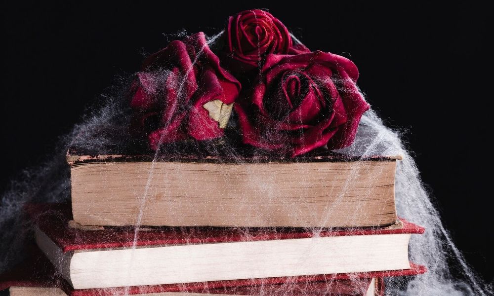 Dark Romance: Zwischen dunkler Fiktion und realer Verantwortung Quelle: https://www.freepik.com/free-photo/close-up-roses-books-with-spider-web_5388615.htm#fromView=search&page=1&position=0&uuid=e0035723-5e4c-4698-a546-2b676bc207d5
