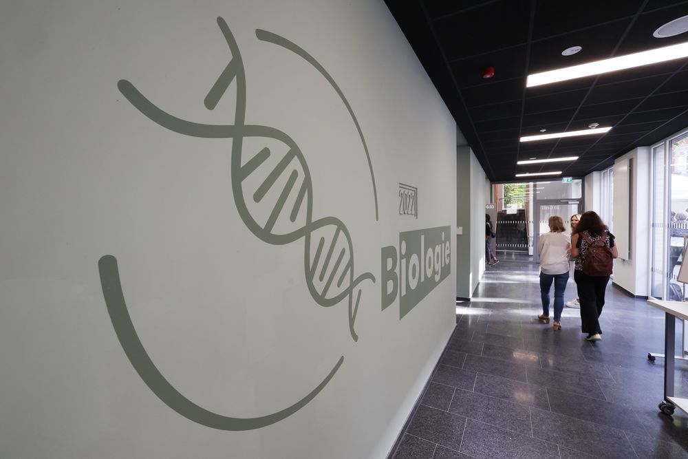 Der Neubau für den naturwissenschaftlichen Bereich wird bereits genutzt. (Foto: Landeshauptstadt Düsseldorf / David Young) Der Neubau für den naturwissenschaftlichen Bereich wird bereits genutzt. (Foto: Landeshauptstadt Düsseldorf / David Young)