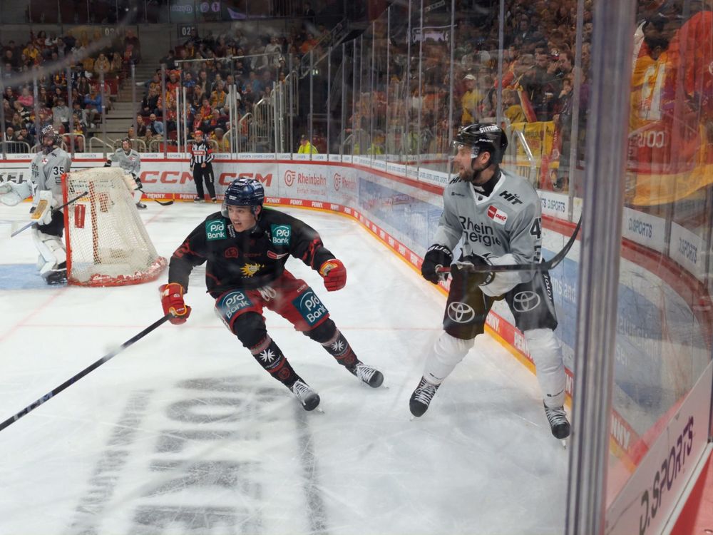 Düsseldorfer EG patzt gegen Köln Die DEG hat gegen die Kölner Haie verloren. (Foto: youpod)