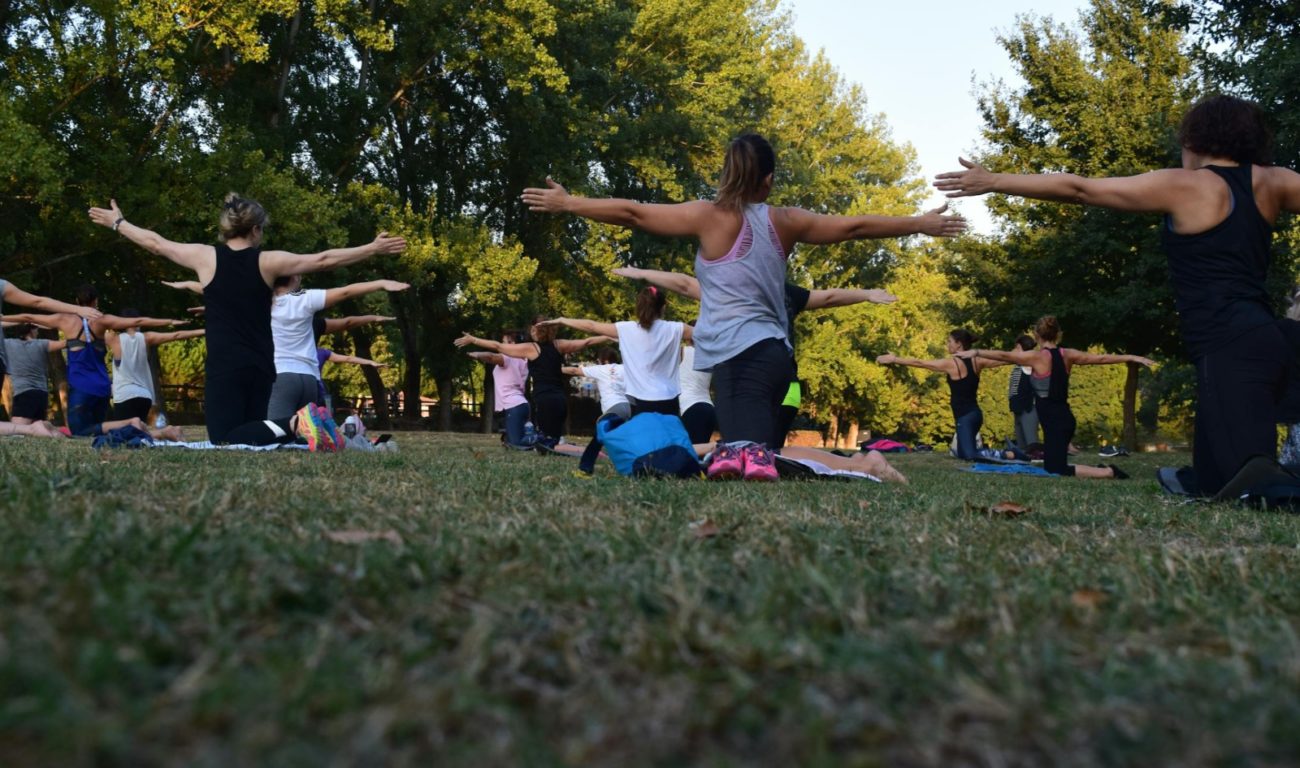 Sport im Park: Yoga-Fitness im Hanielpark (Foto: Pexels.com)