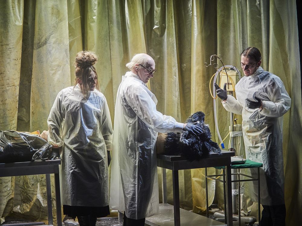 6285_04_hundeherz_rabsch.jpg - Hundeherz – Vom einsamen Streuner zum animalischen Menschen