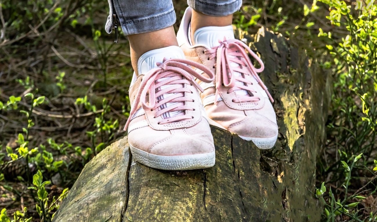 (Fotos: Myriams-Fotos/pixabay.com)