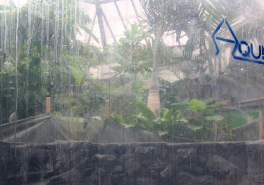 youpod_Aquazoo_Duesseldorf_Bau_Feb16 (8).jpg - Aquazoo eröffnet erst im März 2017 - jt youpod_Aquazoo_Duesseldorf_Bau_Feb16 (8).jpg - Aquazoo eröffnet erst im März 2017 - jt