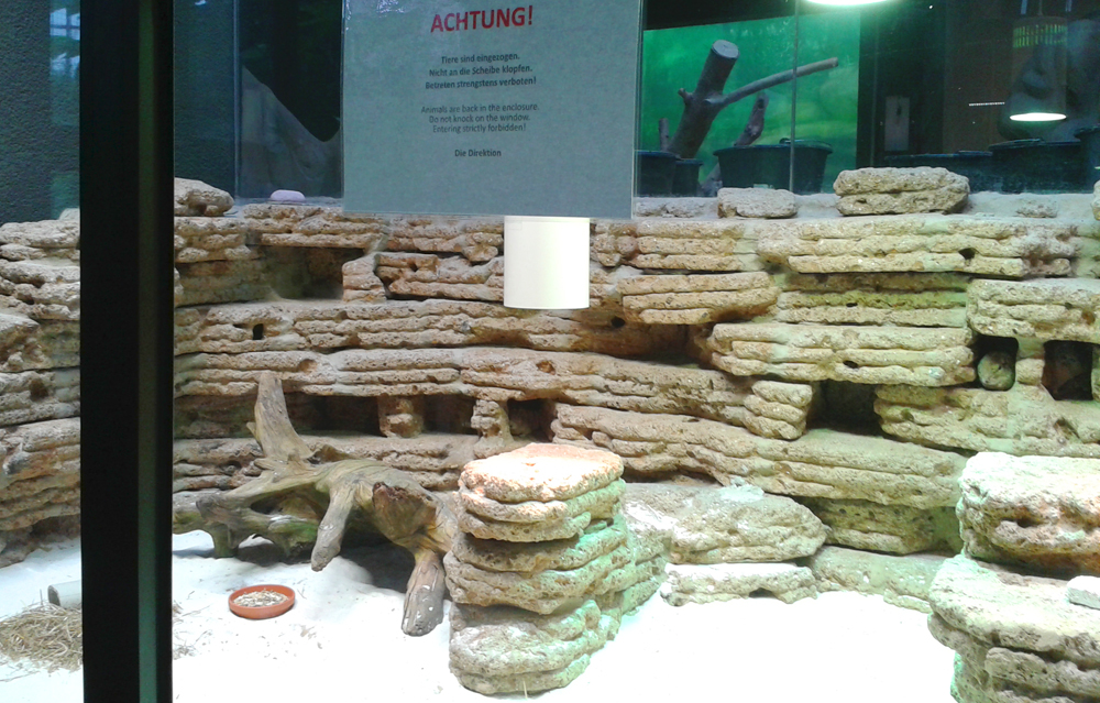 youpod_Aquazoo_Duesseldorf_Bau_Feb16 (1).jpg - Aquazoo eröffnet erst im März 2017 - jt youpod_Aquazoo_Duesseldorf_Bau_Feb16 (1).jpg - Aquazoo eröffnet erst im März 2017 - jt