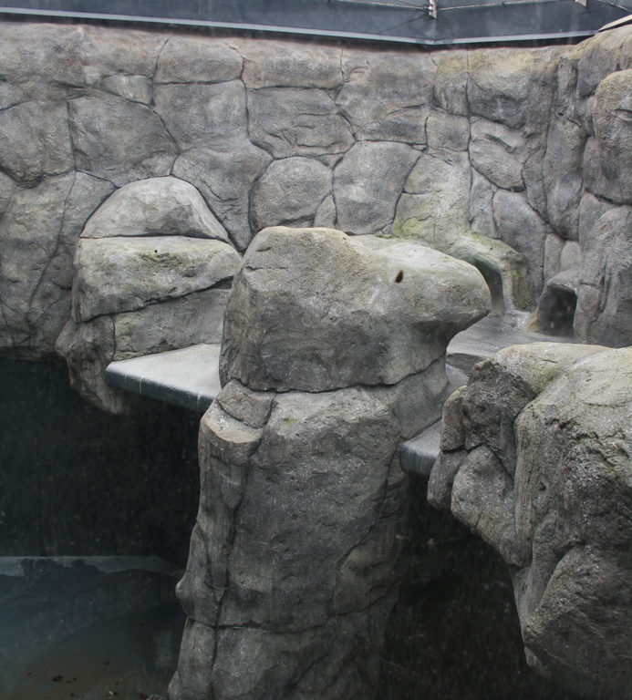 youpod_Aquazoo_Duesseldorf_Bau_Feb16 (10).jpg - Aquazoo eröffnet erst im März 2017 - jt youpod_Aquazoo_Duesseldorf_Bau_Feb16 (10).jpg - Aquazoo eröffnet erst im März 2017 - jt