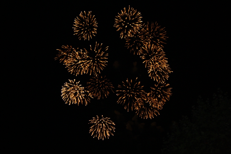 26.jpg - Der japanische Zauber - Veena Mehta